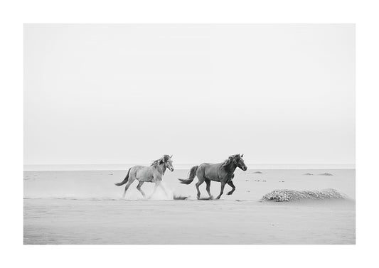 Black and white prints of horses on the beach. 