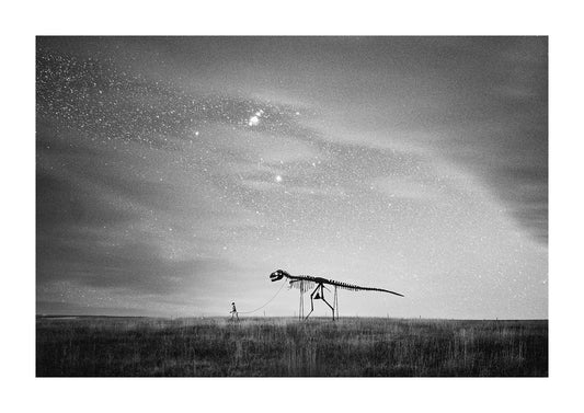 "Midnight Rex"