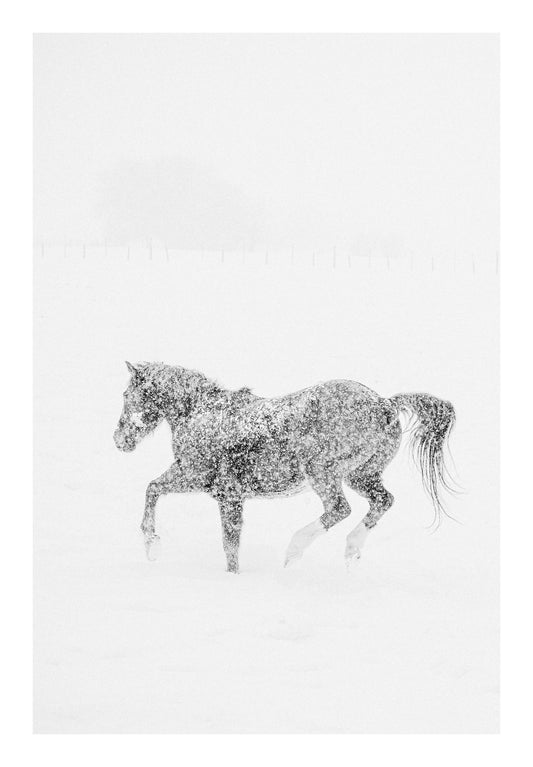 "Dancer" A horse trots in a snowstorm