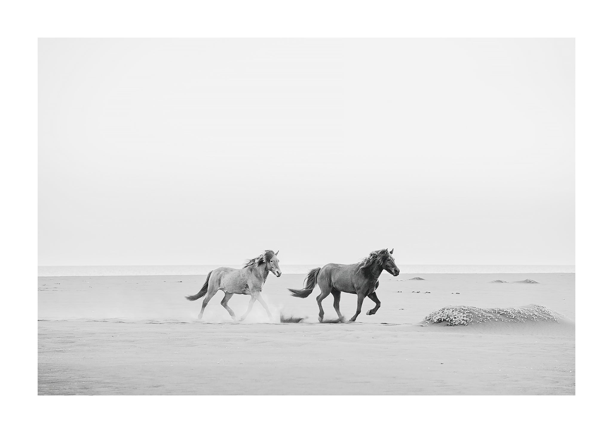 Running Wild Definition at Lori Masters blog